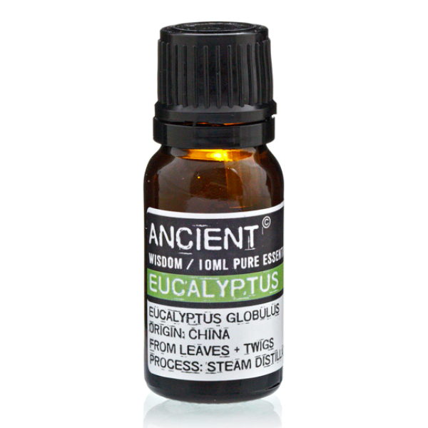 Essential Oil Eucalyptus 